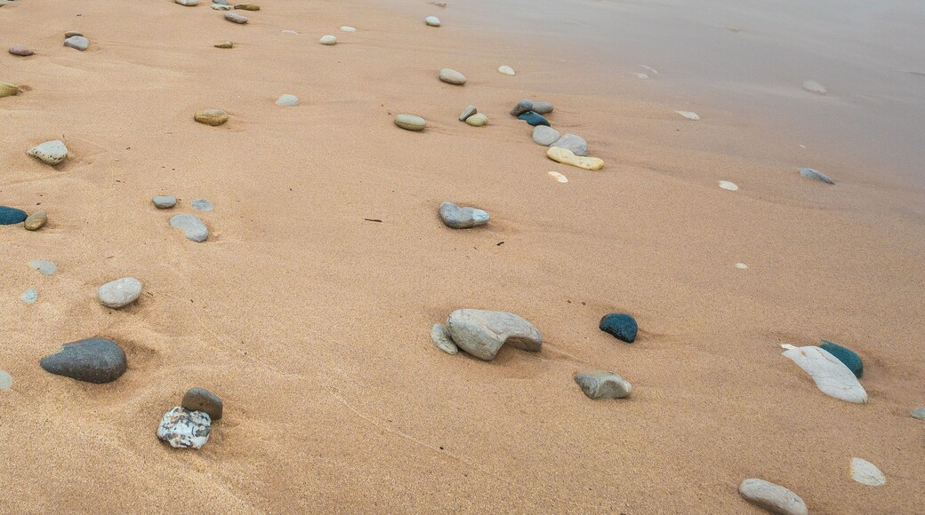 Indiana Dunes Long Exposure