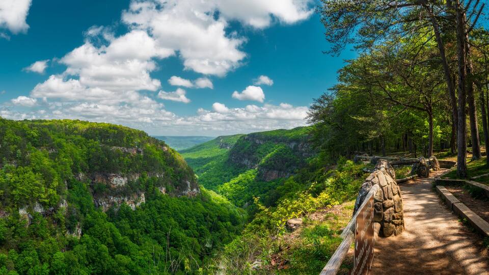 Majestic Cloudland Canyon Panorama