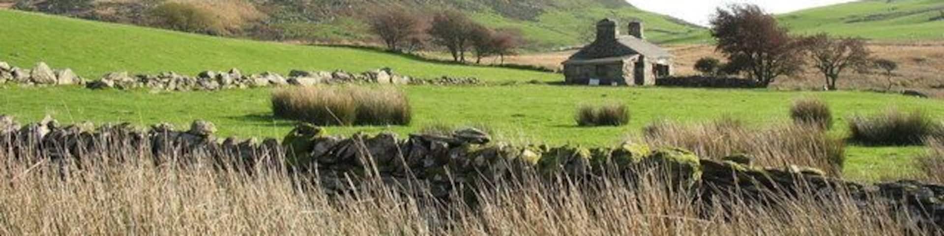 A rural landscape with a stone wall, a stone building, rolling hills, and grazing sheep.
