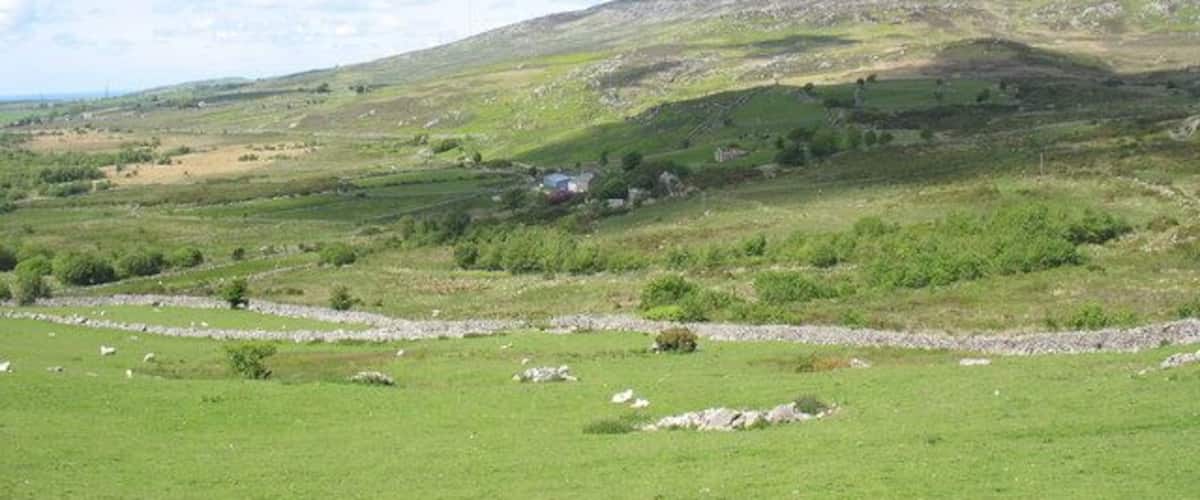 Improved grassland contrasts with the surrounding moorland