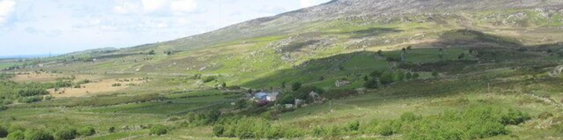 Improved grassland contrasts with the surrounding moorland