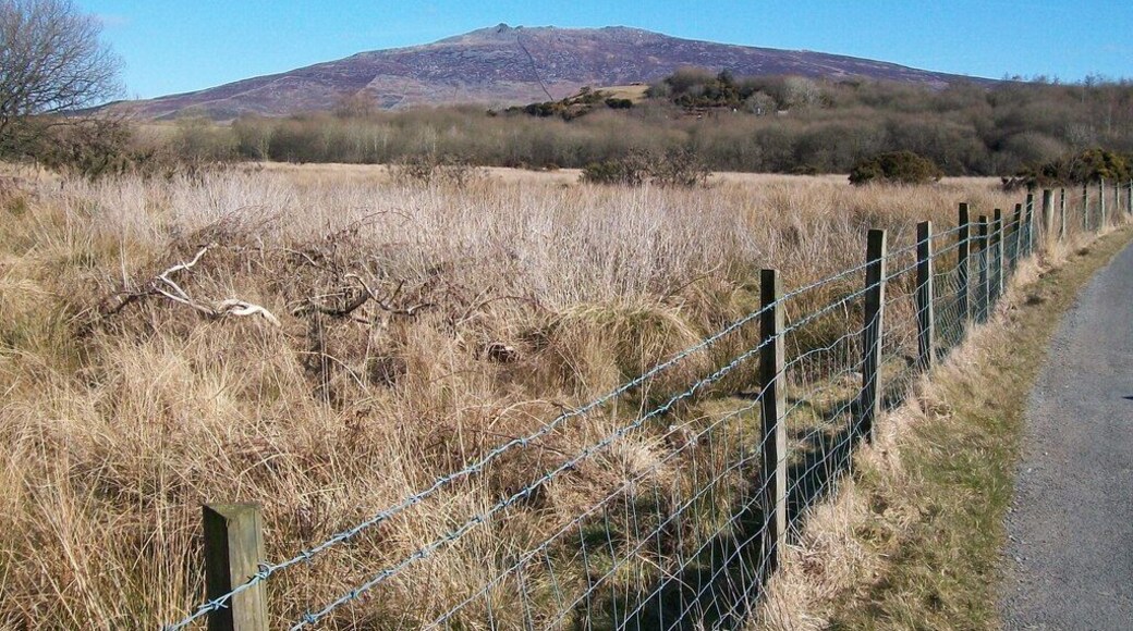 View north-eastwards across the Dwyfach valley floor with Mynydd Graig Goch in the background
