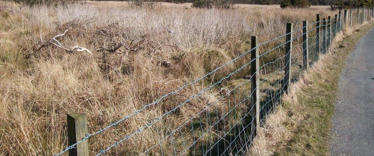 View north-eastwards across the Dwyfach valley floor with Mynydd Graig Goch in the background