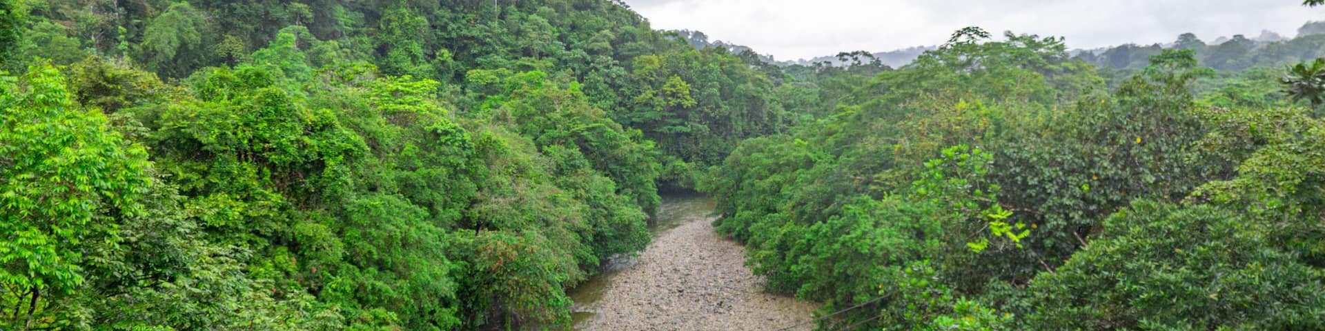 A stunning view of a serene river surrounded by lush greenery in San Cipriano, Buenaventura, Valle del Cauca, Colombia.