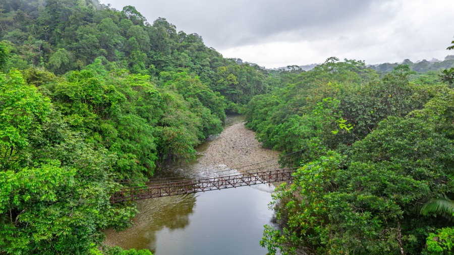 A stunning view of a serene river surrounded by lush greenery in San Cipriano, Buenaventura, Valle del Cauca, Colombia.