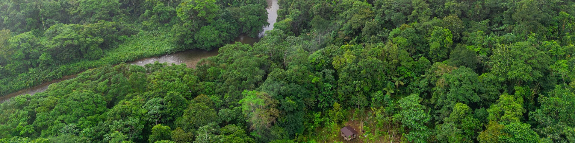 Aerial view of vibrant green rainforest in San Cipriano, Buenaventura, Valle del Cauca, Colombia, showcasing nature's lush beauty.