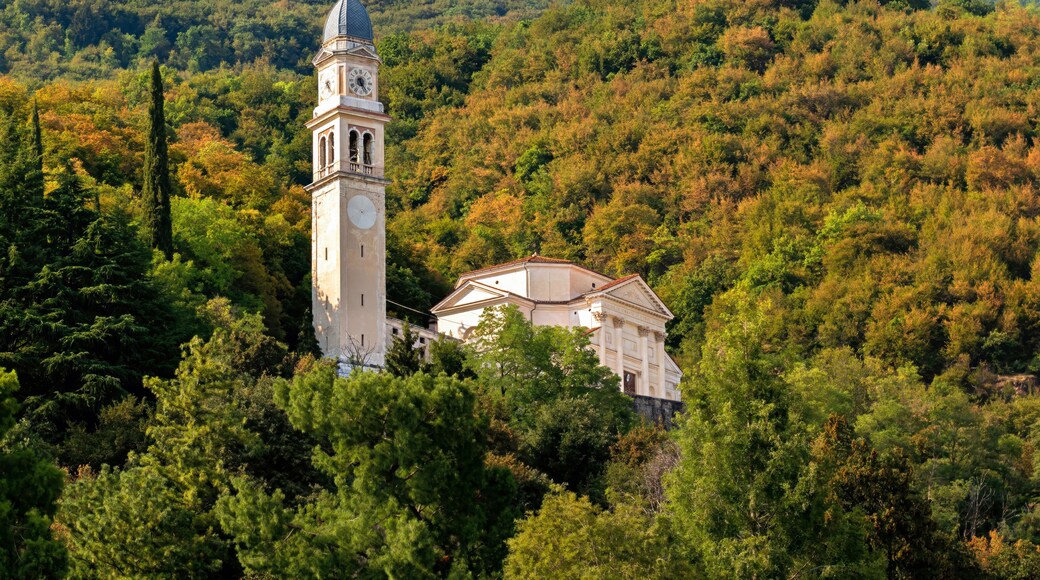 A church with a clock tower surrounded by dense forest.