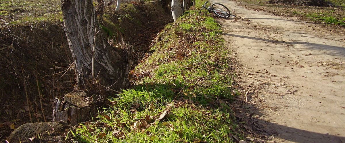 A dirt path with a bicycle leaning against a tree, surrounded by grass and trees.