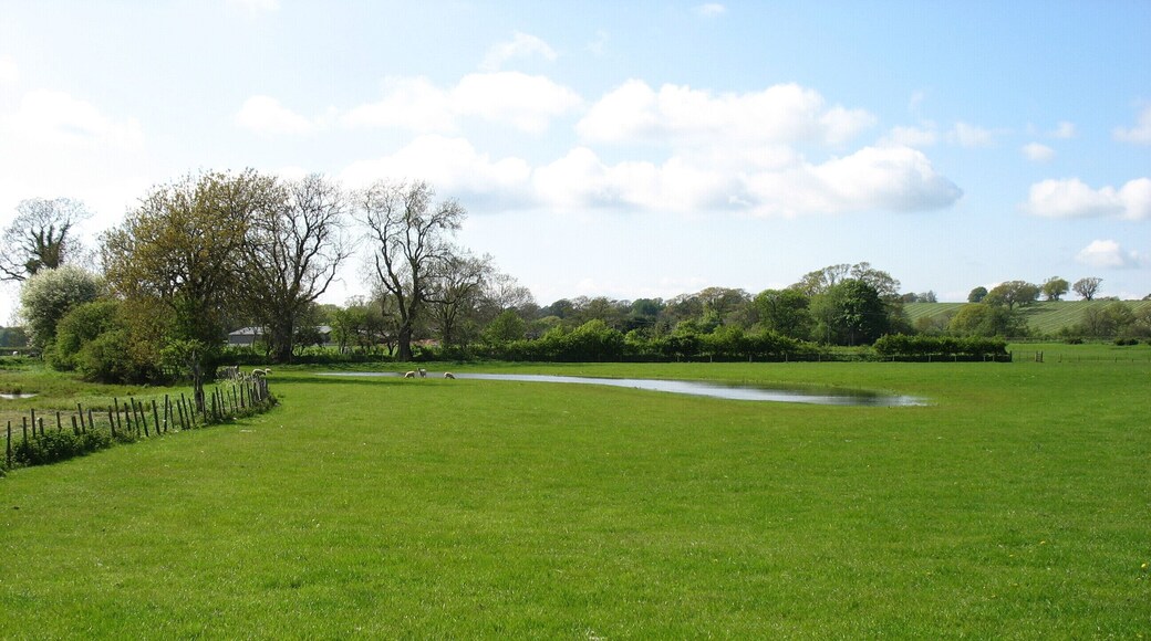 Fields south-east of Burtholme