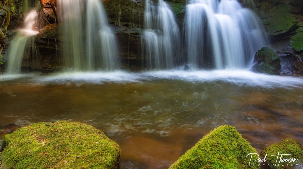 Lanercost uk Taken in a small woodland close to Lanercost priory great little location filled with lots of possible compositions.
Check out the accompanying Vlog 😀
https://youtu.be/B-6jw1KM29A
#Cumbria #theplacetobe #Brampton #Lanercost #Waterfalls #Cumbriaguide
#hiking
#lakedistrict