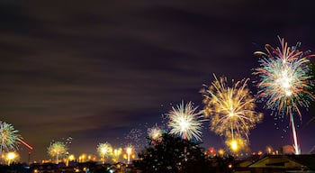 Just greeting everyone a Happy New Year!