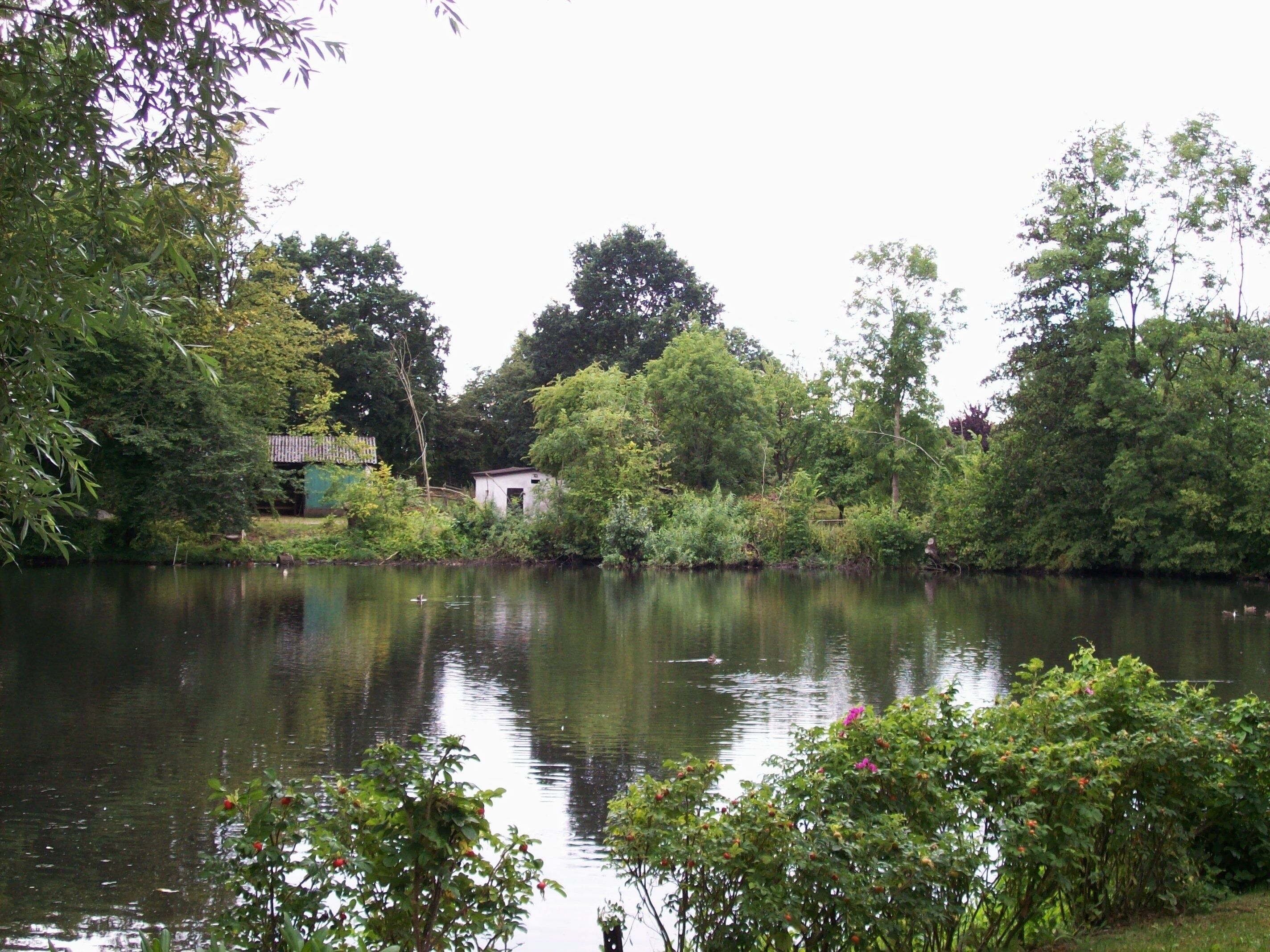 Mühlenteich (Oststeinbek)