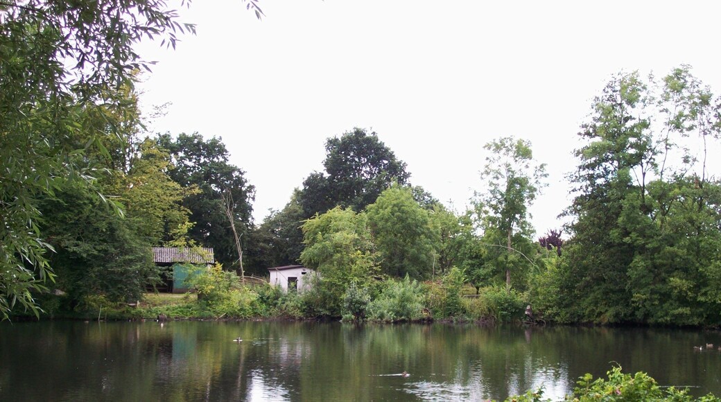 Mühlenteich (Oststeinbek)