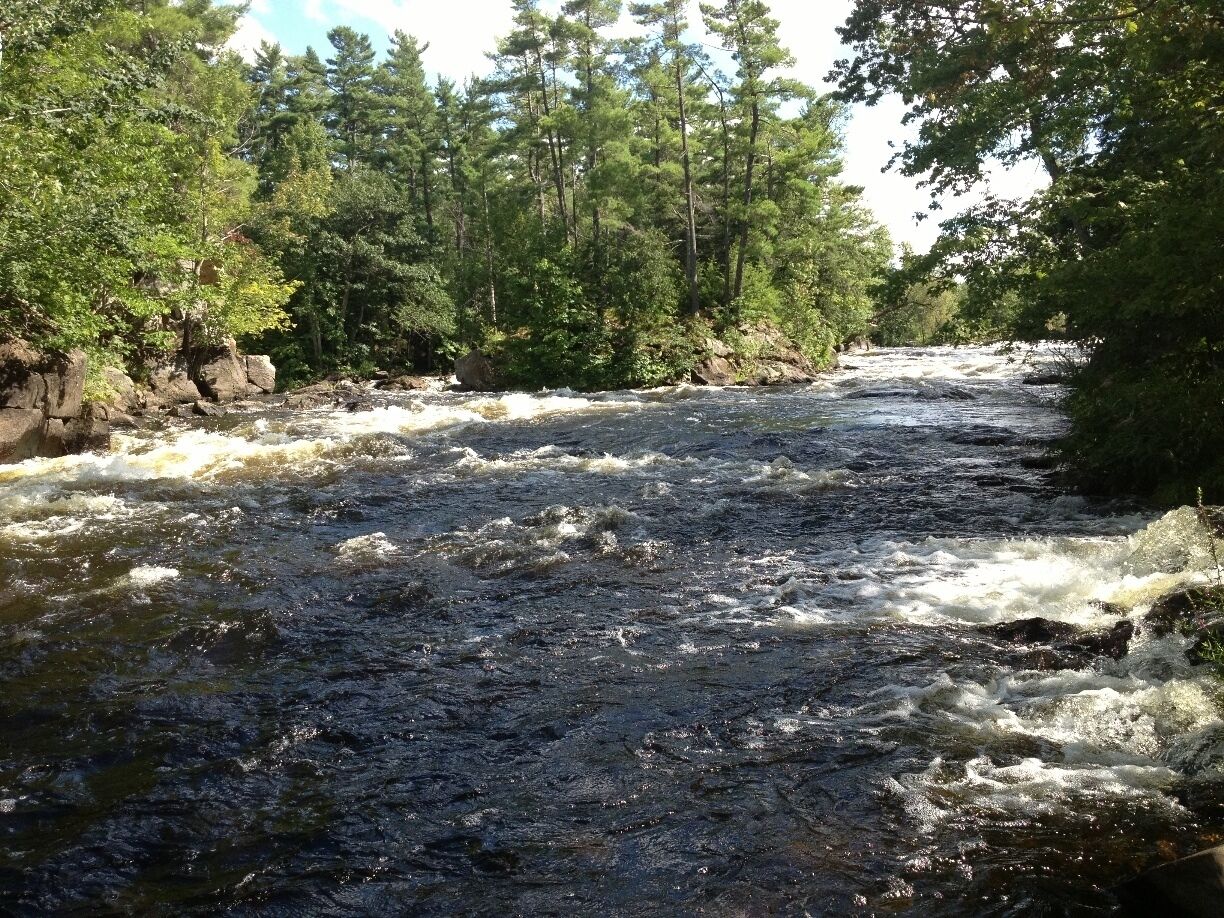 Love love love this spot, a little hidden but truly a one of a kind find. 