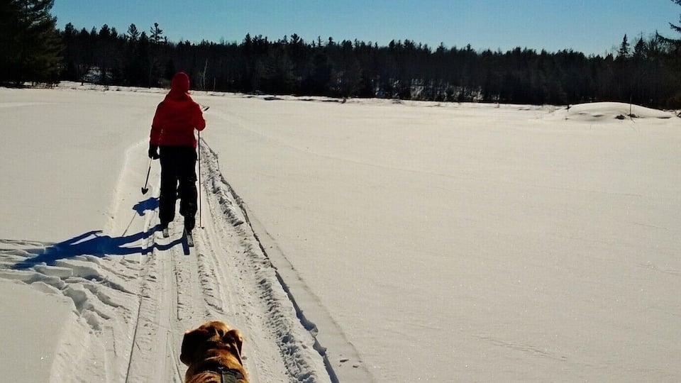 A person and a dog on a snowy trail with a clear sky and sun.