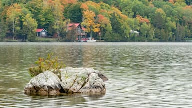 North Frontenac Palmerston lake fall colours (colors) landscape