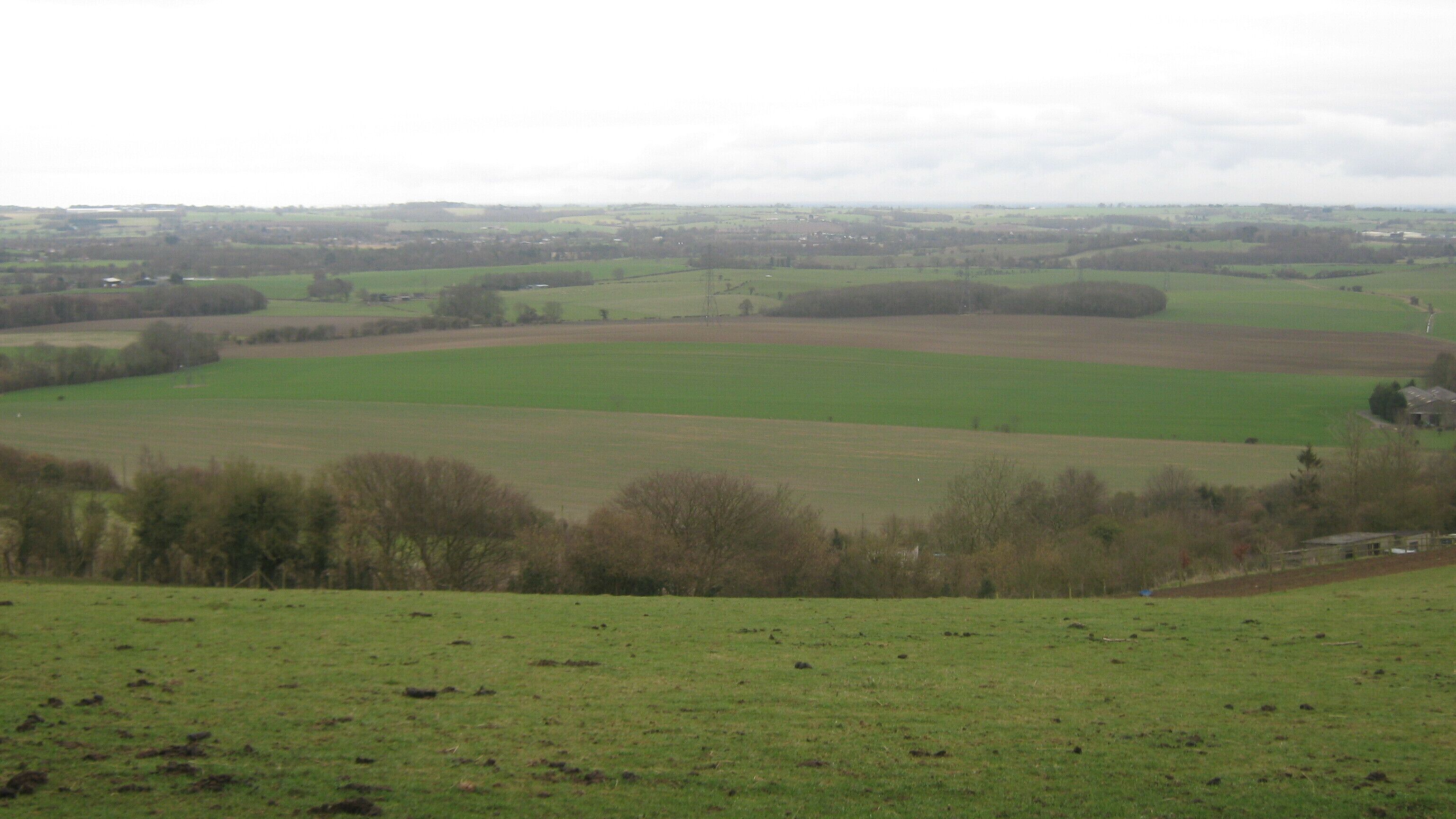 A rural landscape with rolling green fields, scattered trees, and distant buildings.
