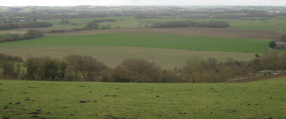 A rural landscape with rolling green fields, scattered trees, and distant buildings.