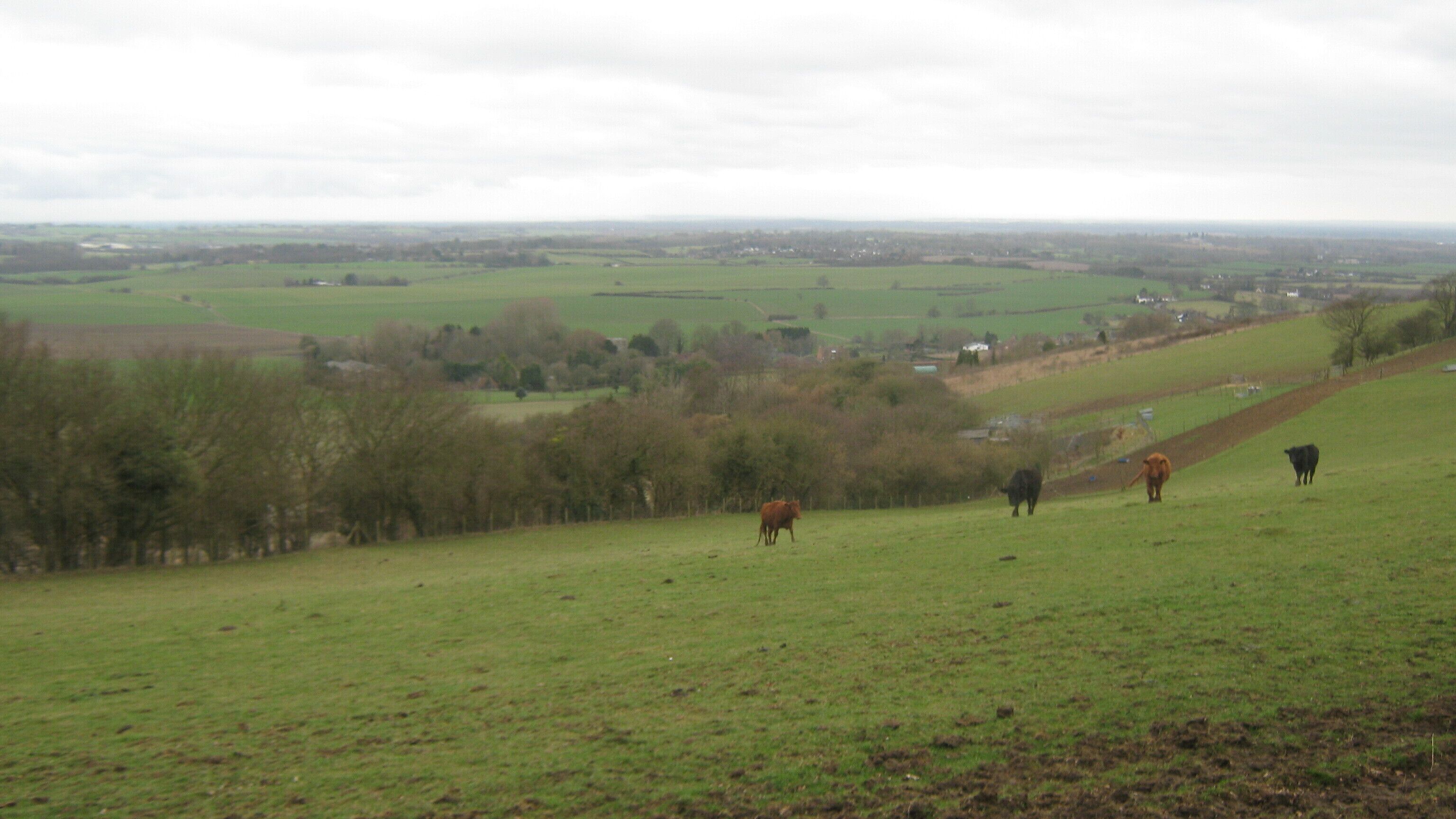 View from the North Downs Way near Brabourne Lane The long distance path heads on a byway towards Brabourne Downs. Along this section are excellent views of the east Ashford farmland.