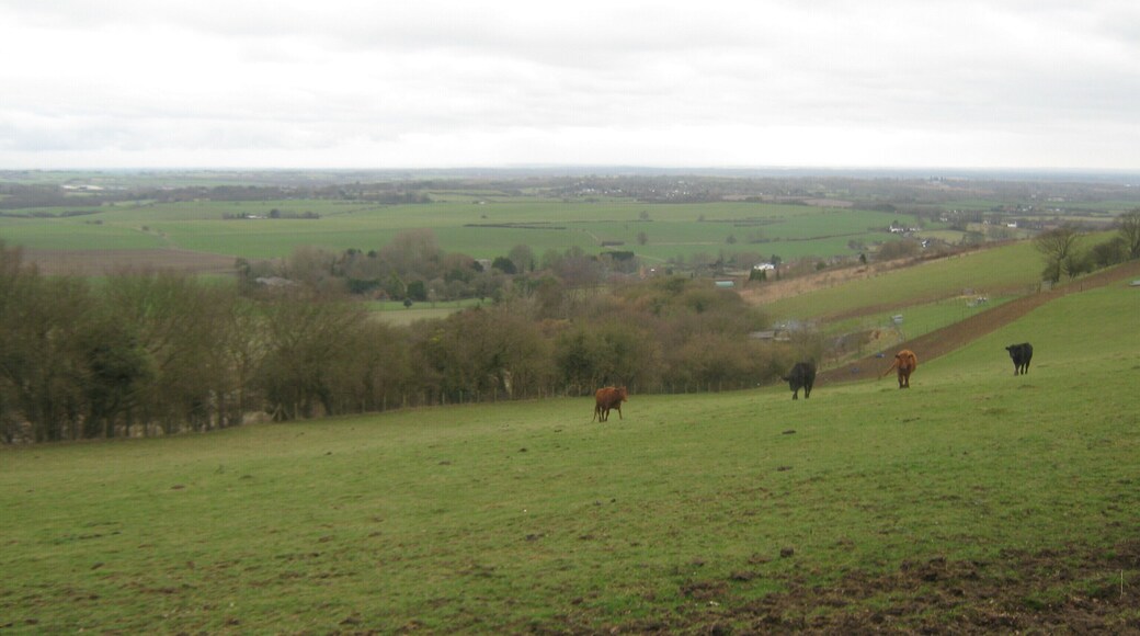 View from the North Downs Way near Brabourne Lane The long distance path heads on a byway towards Brabourne Downs. Along this section are excellent views of the east Ashford farmland.