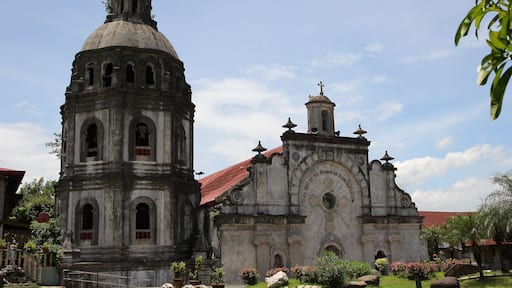 Bacolor