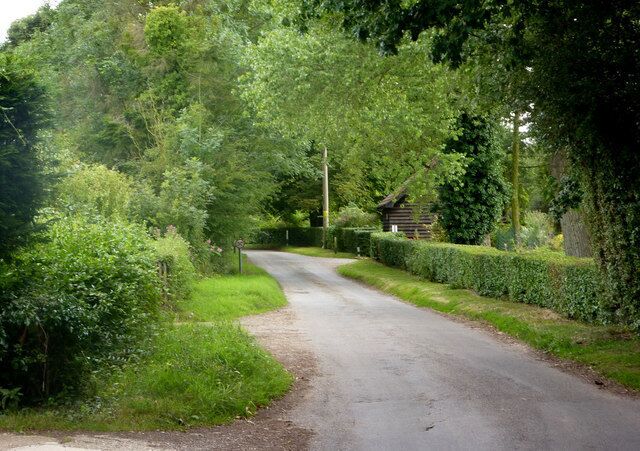 Through the trees on East End Road A leafy section of the lane surprisingly close to the busy A1120.