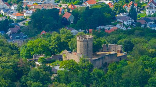 A historic castle surrounded by lush greenery and modern houses.