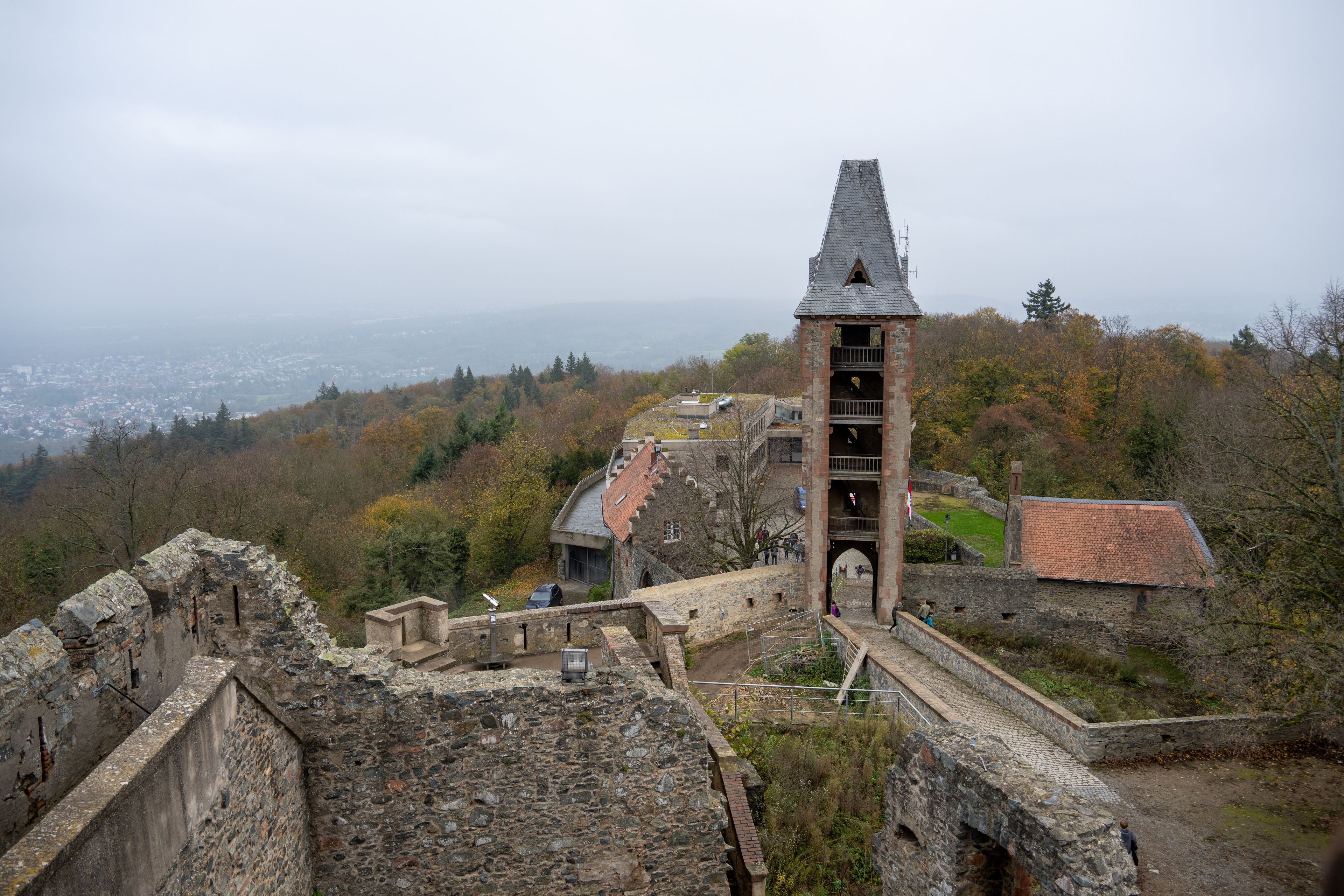 View over Frankenstein Castle ruins and surrounding forest