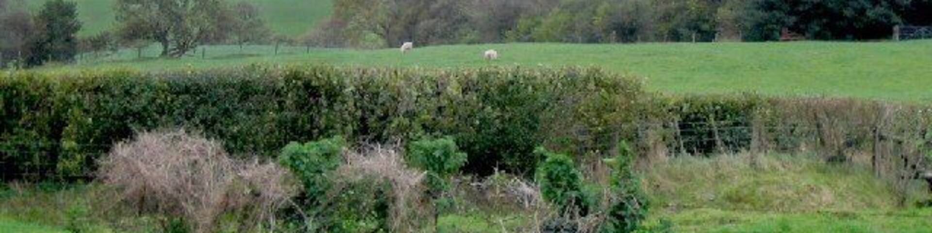 West slope of Fan Frynych. As seen looking east from the road between Ystradfellte and Heol Senni.