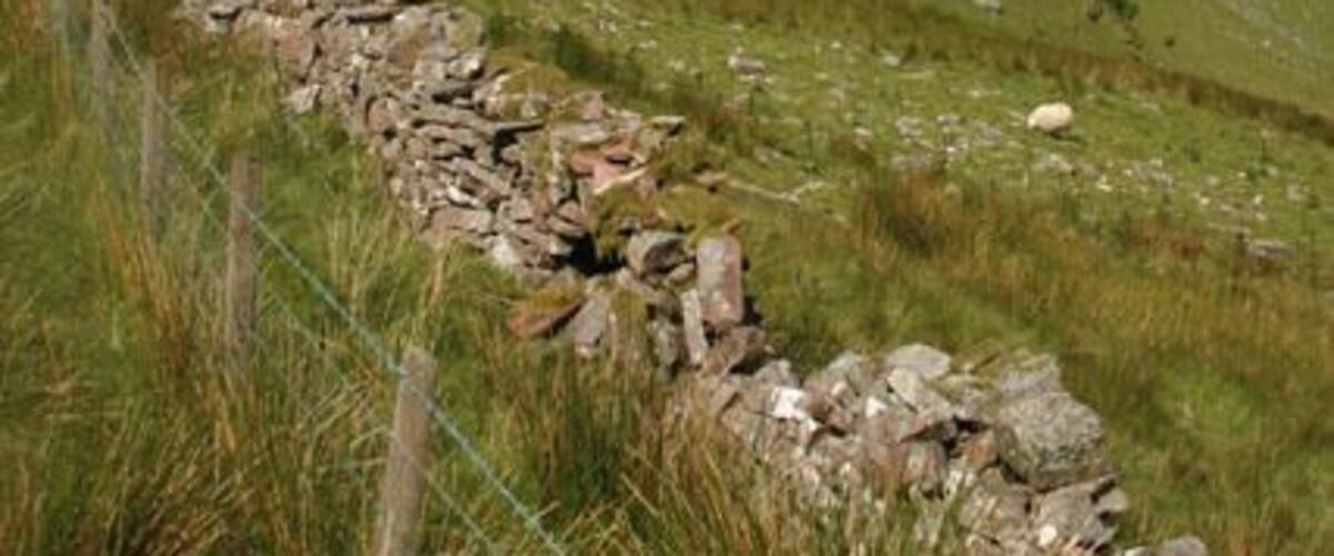 Ruined stone wall Stone wall which contours the northern slopes of Fan Nedd