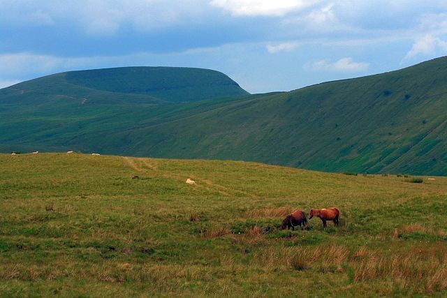 On Bryn Melyn View looking west to Fan Gyhirych (SN8819).