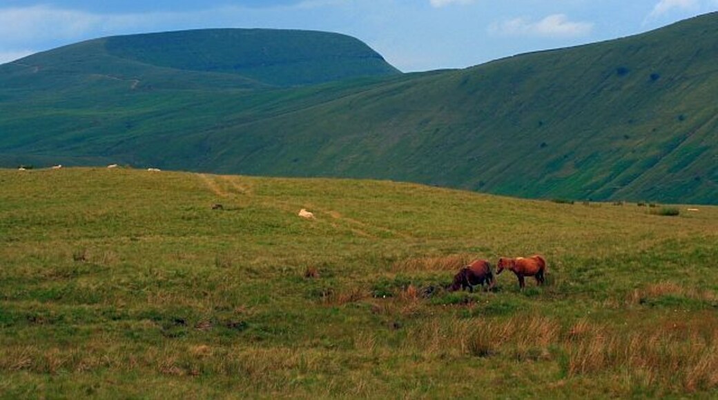 On Bryn Melyn View looking west to Fan Gyhirych (SN8819).