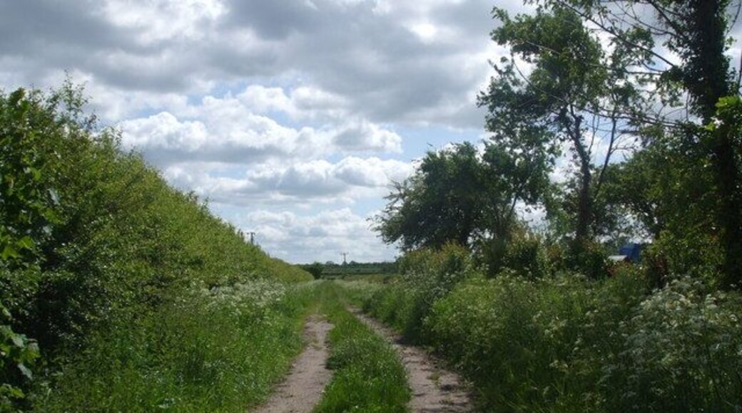 College Road (track)