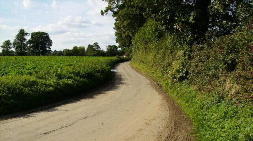 The lane from Ryton near Great Habton village.