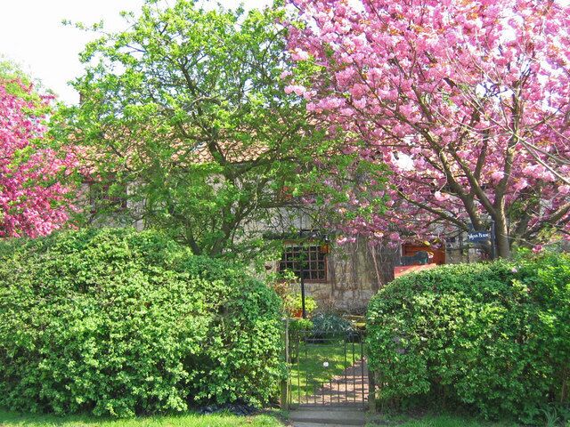 Great Habton - Cottage. The village is on the east edge of the grid square. This cottage is just to the east of the Church of St. Chad.