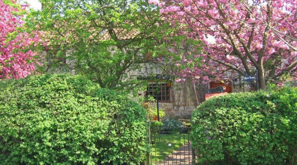 Great Habton - Cottage. The village is on the east edge of the grid square. This cottage is just to the east of the Church of St. Chad.