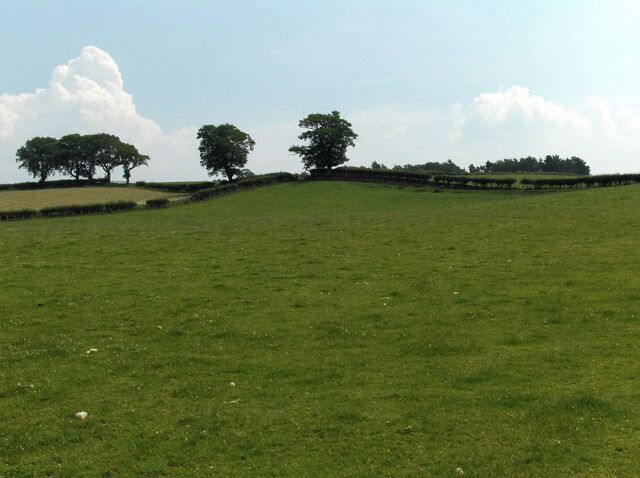 Farmland near Cotehill. East of Wragmire House
