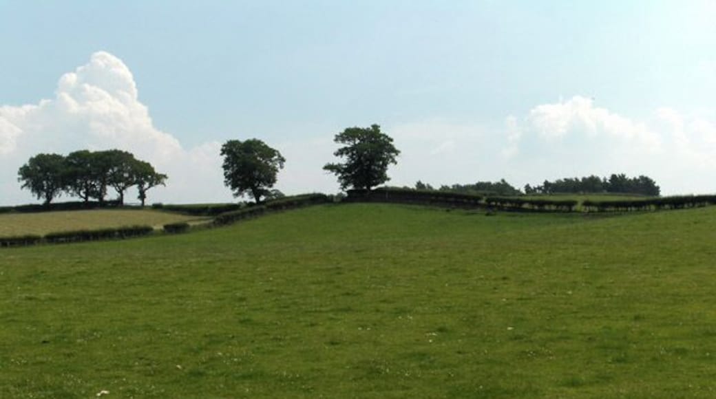Farmland near Cotehill. East of Wragmire House