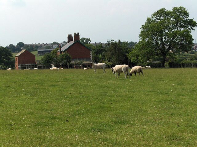Low Cotehill. Beside the lane east of Cotehill.