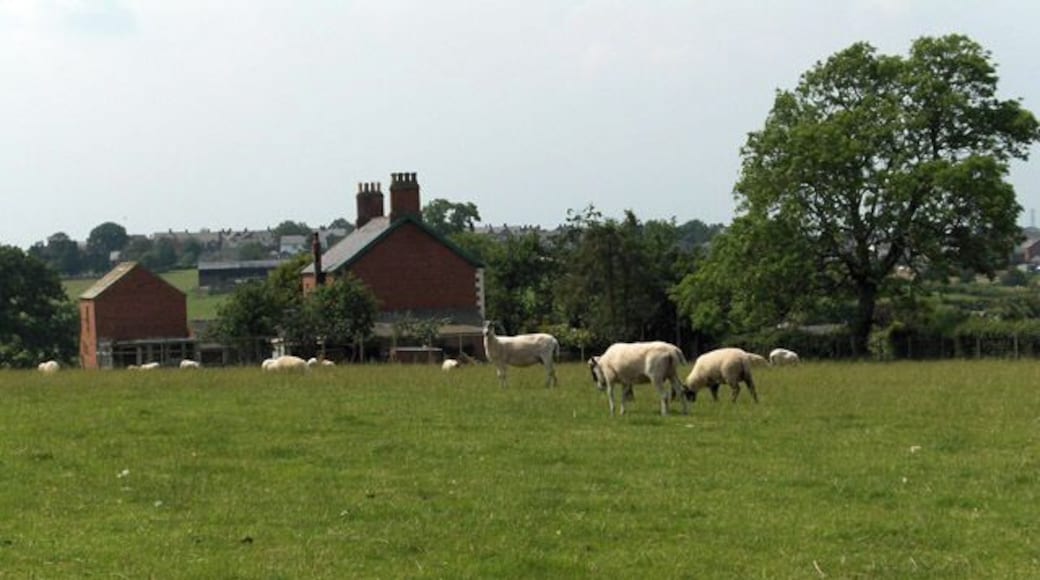 Low Cotehill. Beside the lane east of Cotehill.