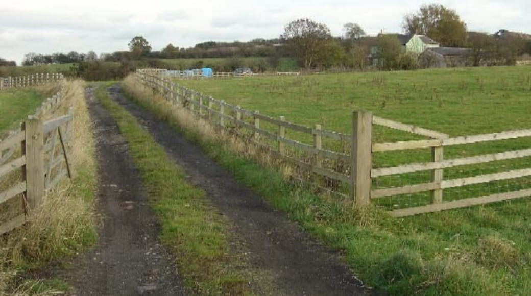 The track to Whisgills Presumably named after the original owner, although it is not obviously a local name.