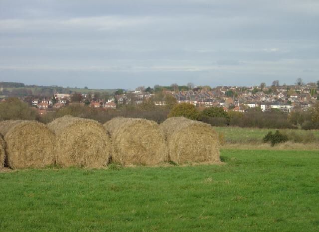 Hay bales near Whisgills These were still in the fields several months after cropping, but presumably are not expected to come to any harm by being left unstacked. In the background is Gilt Hill, part of Kimberley.