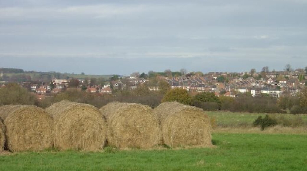 Hay bales near Whisgills These were still in the fields several months after cropping, but presumably are not expected to come to any harm by being left unstacked. In the background is Gilt Hill, part of Kimberley.