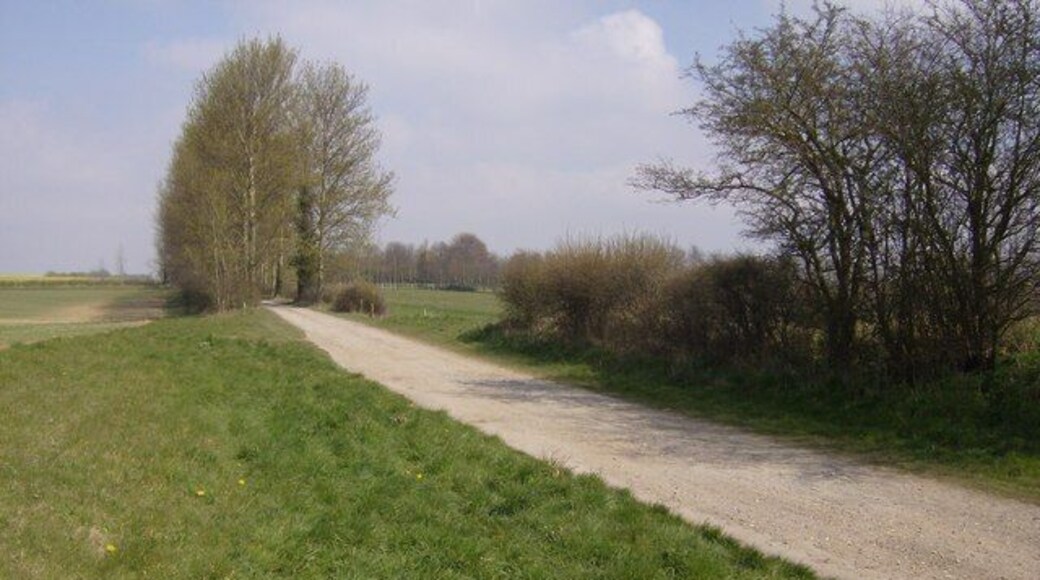 Disused railway Looking north, this is the track bed of the former line from Beccles to Haddiscoe Junction crossing the Aldeby peninsula. The through journey is now only possible via Lowestoft and Aldeby is not reachable by railway.