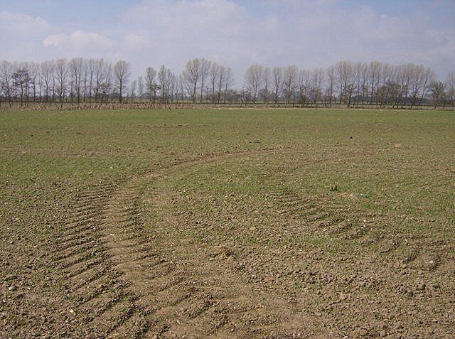 Footpath towards Stanley Hills Road The footpath crosses this field, but the route is not clear, neither is there a visible marker on the far side.