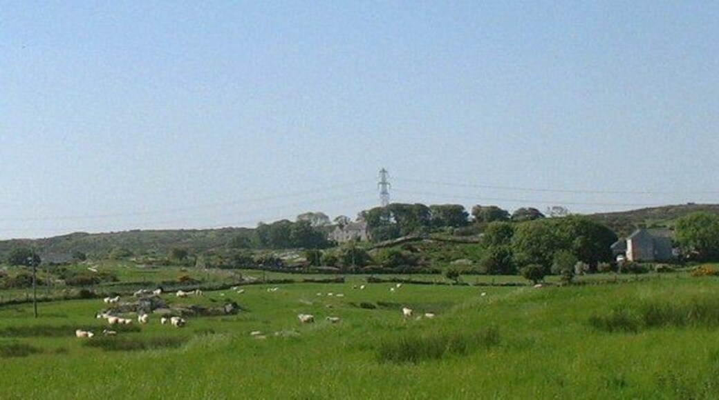 View across sheep grazing land towards farms on the Llanfechell-Mynydd Mechell road The two farms are Bwchanan (centre) and Tyddyn y waen (homestead of the marshy land) on the right. In the 18thC, Bwchanan was the seat of John Bulkeley, the chief agent of the Bulkeleys of Baron Hill, Beaumaris. His wife, Bridget, was a sister to two Viscounts. William Bulkeley, the squire and diarist of Brynddu, was involved in a dispute with the Bulkeleys of Bwchanan in the 1730s, over seats at Llanfachell church, each side more than once throwing the seats of the other out of the door.