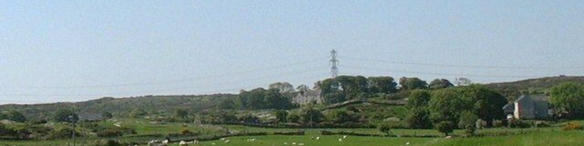 View across sheep grazing land towards farms on the Llanfechell-Mynydd Mechell road The two farms are Bwchanan (centre) and Tyddyn y waen (homestead of the marshy land) on the right. In the 18thC, Bwchanan was the seat of John Bulkeley, the chief agent of the Bulkeleys of Baron Hill, Beaumaris. His wife, Bridget, was a sister to two Viscounts. William Bulkeley, the squire and diarist of Brynddu, was involved in a dispute with the Bulkeleys of Bwchanan in the 1730s, over seats at Llanfachell church, each side more than once throwing the seats of the other out of the door.