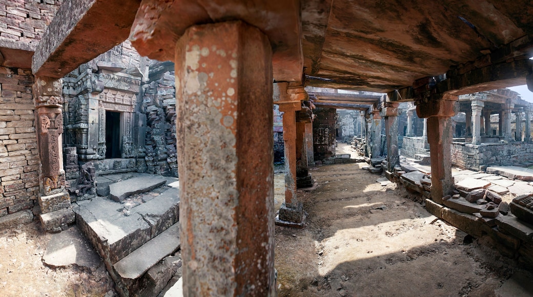 Incredible, untouched by time and man Van Mandir Digambar Jain Temple complex of the 9th century. Pathari, Vidisha district, Madhya Pradesh state, India