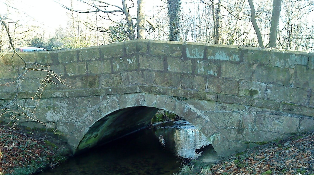 Hungate Bridge. Grade II bridge over Hungate Dike: single round arch, band and coped parapet. Late 18th C. built by Lord Grantley.