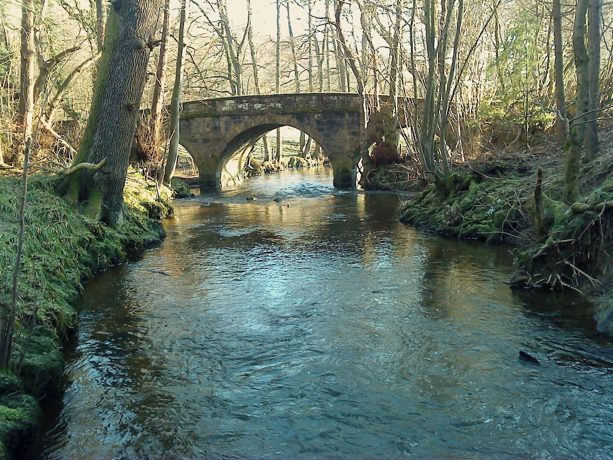 Downstream to bridge over the Laver Taken whilst perched on a rock in the middle of the river. Neat little three arched stone bridge.